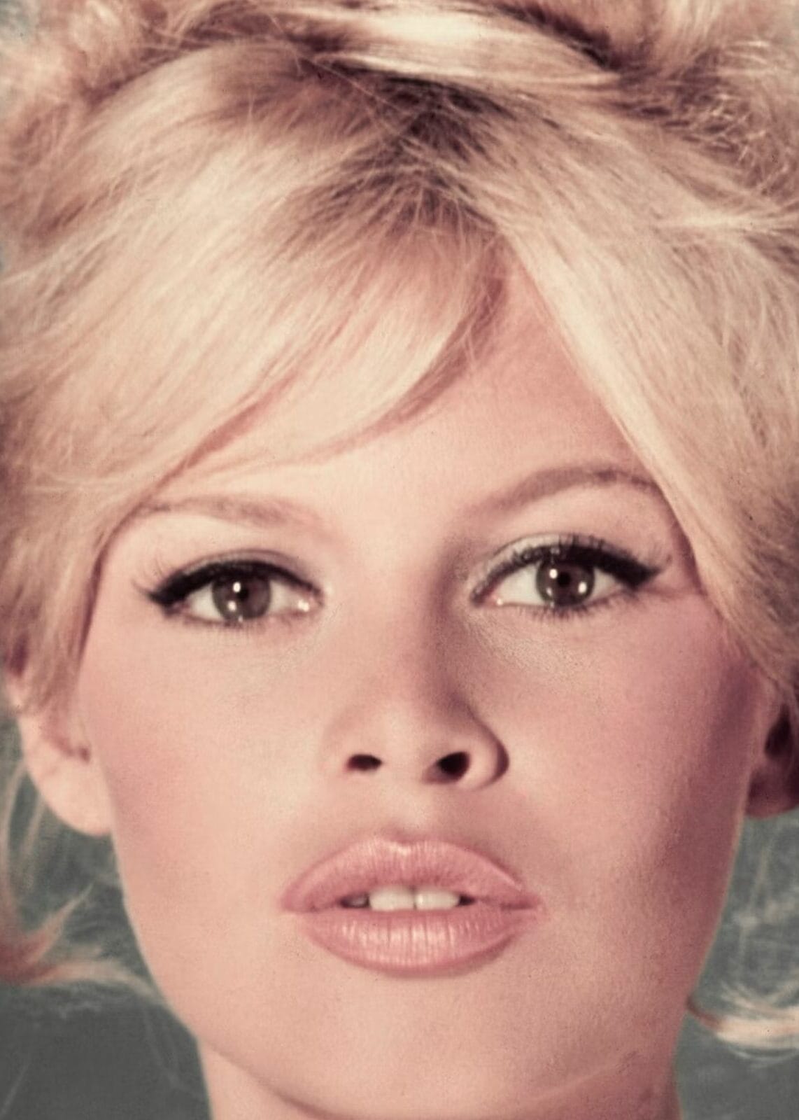 Brigitte Bardot et le journaliste : l’amour brisé par un refus inattendu 5 Brigitte Bardot et le journaliste