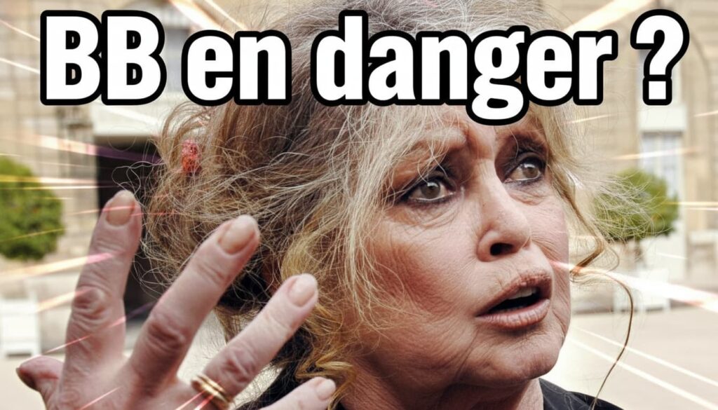 Brigitte Bardot : Santé fragile et héritage intemporel d'une icône française 5 Brigitte Bardot