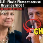 Affaire Flavie Flament-Patrick Bruel