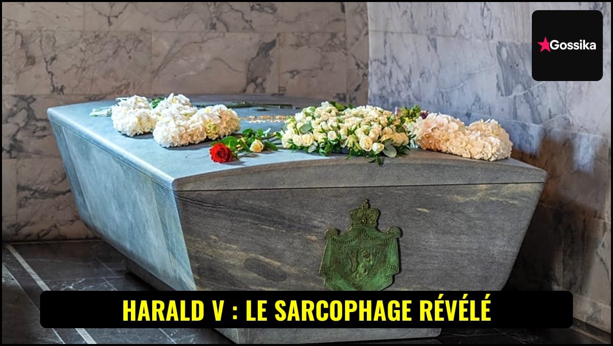 Sarcophage inspiré des vikings et absorbant le CO2 pour le roi Harald V de Norvège