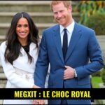 Le Prince Harry et Meghan Markle souriants lors d'un engagement officiel